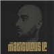 Maticulous - The Maticulous LP